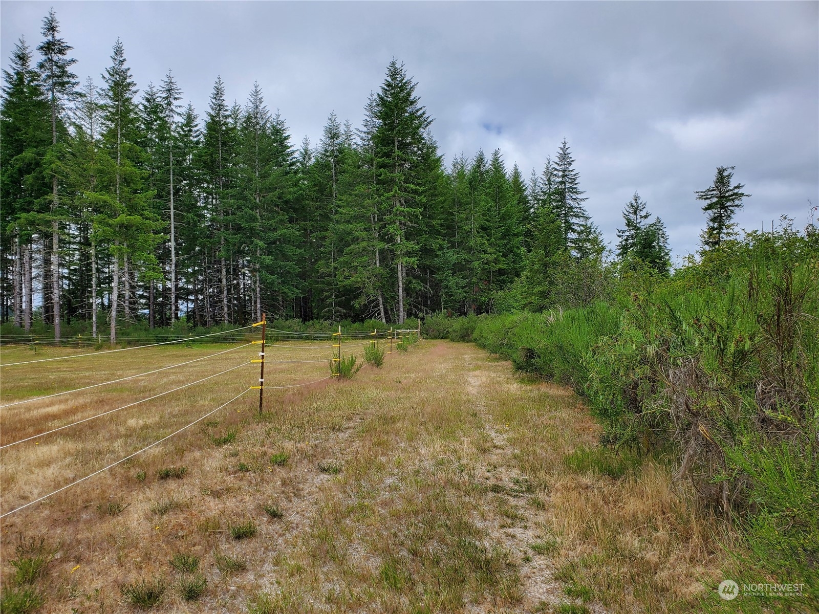 -xx West Matlock-Brady Road Elma, WA 98541 - Photo 8 of 9 Gallery Image 8