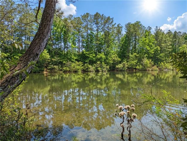 23648 Goodlife Lane Covington, LA 70435 - Photo 50 of 58