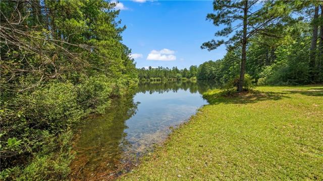 23648 Goodlife Lane Covington, LA 70435 - Photo 52 of 58