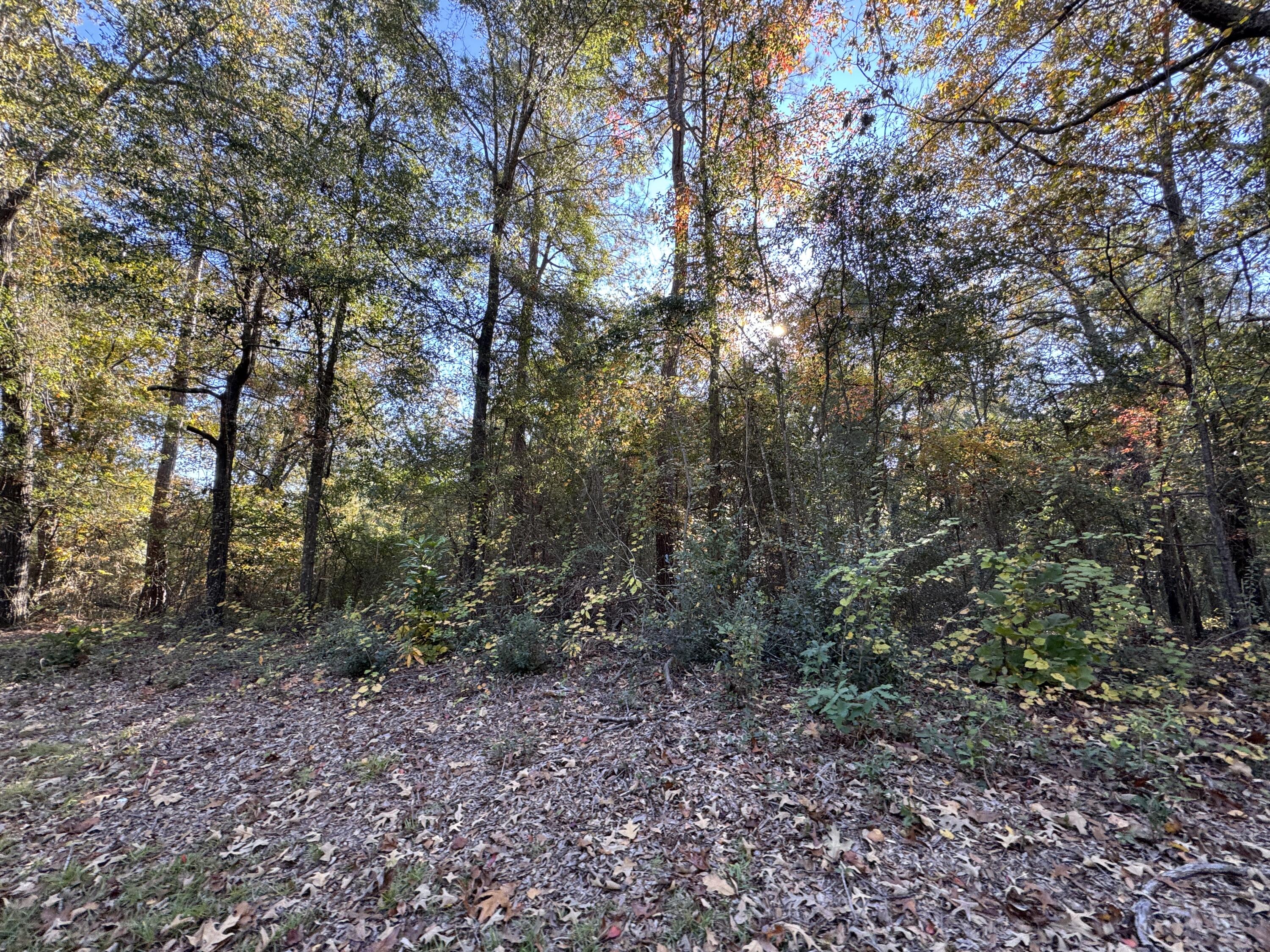 Lot #1 Charles Street Jackson, SC 29831 - Photo 7 of 12
