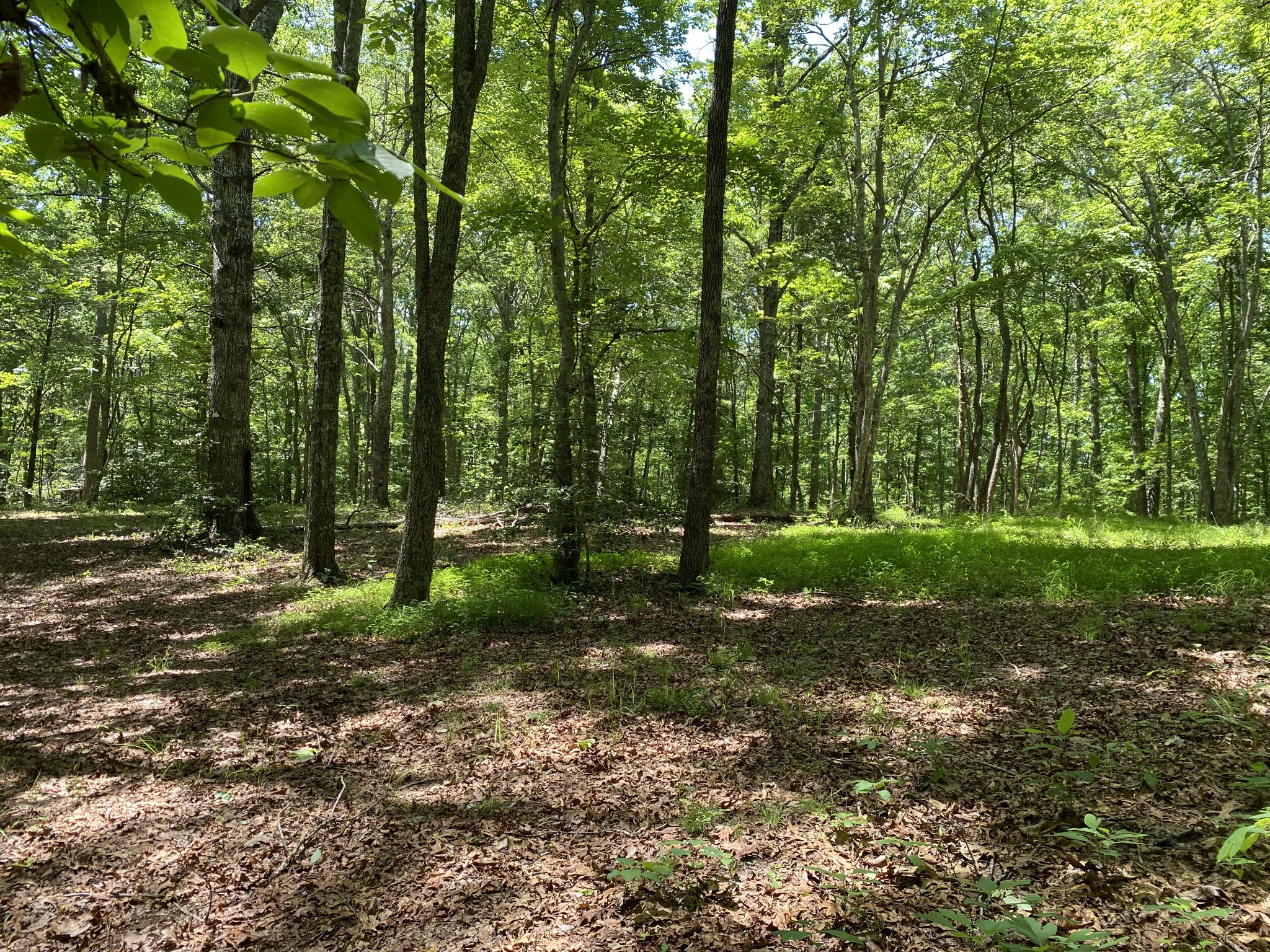 118 Cherokee Road Spencer, TN 38585 - Photo 52 of 85 a view of a park