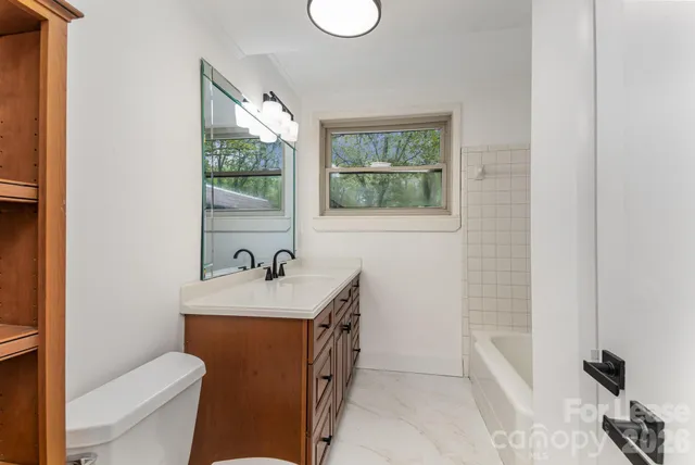 a bathroom with a sink a toilet and a bathtub