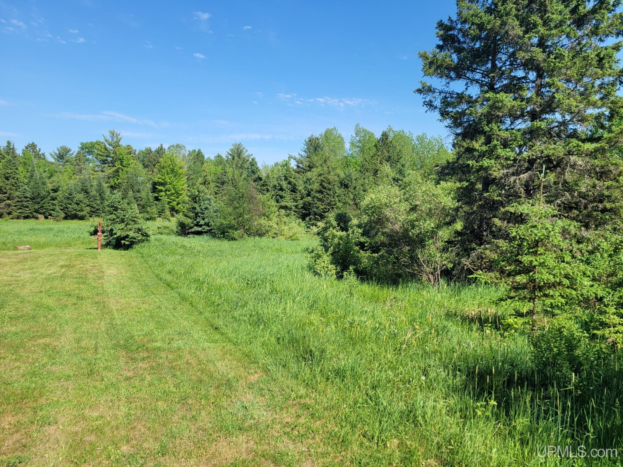 On Metos Road Trout Creek, MI 49967 - Photo 5 of 6