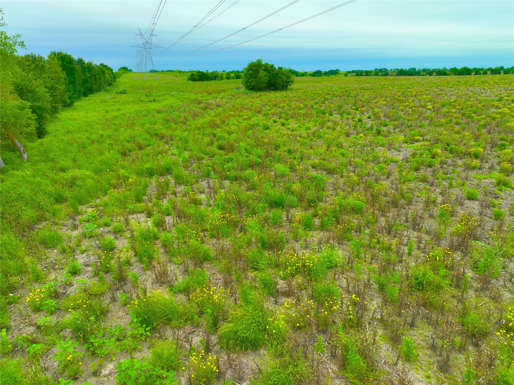 Tbd Lot 7-blk 1 Tbd Road Buckholts, TX 76518 - Photo 5 of 7 a view of a field with an ocean