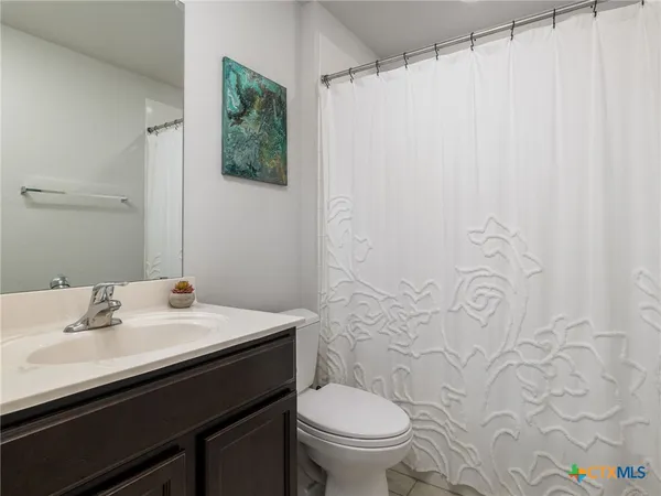 a bathroom with a sink a toilet and shower curtain