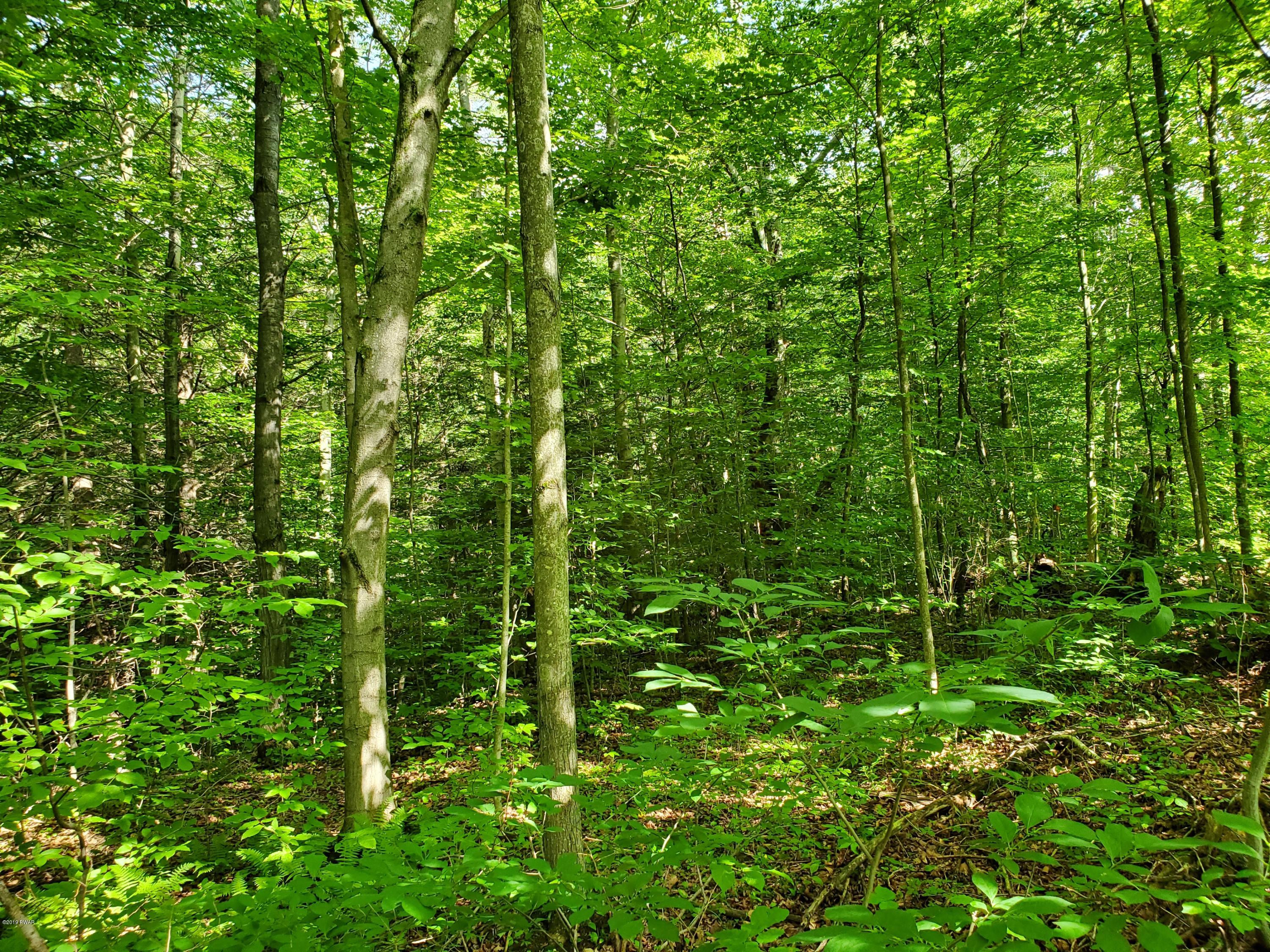 Lot 5 Hanlon Rd Lake Lake Ariel, PA 18436 - Photo 4 of 9