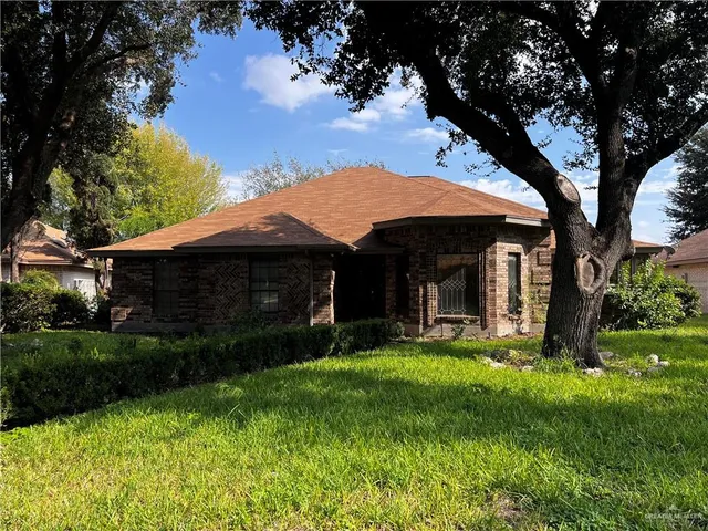 a view of a yard in front of house with a large tree