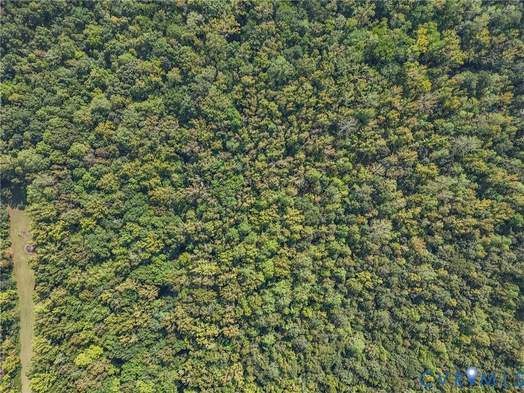 0 Walkerton Road Walkerton, VA 23177 - Photo 3 of 8