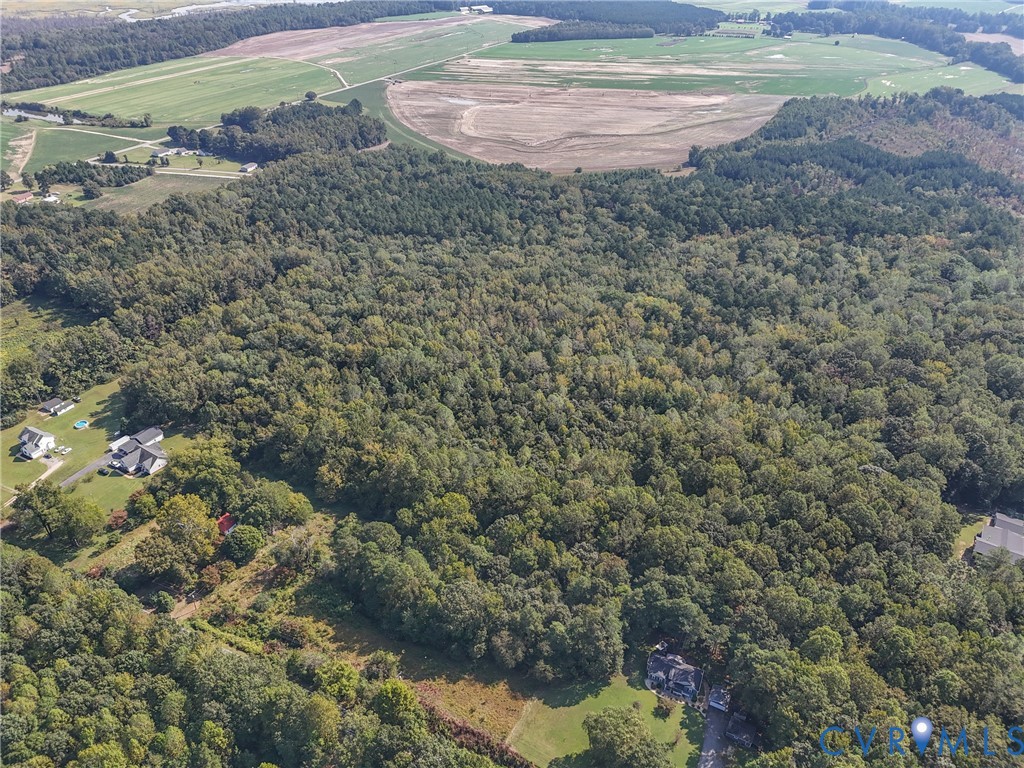 0 Walkerton Road Walkerton, VA 23177 - Photo 4 of 8 a view of a yard with an outdoor space