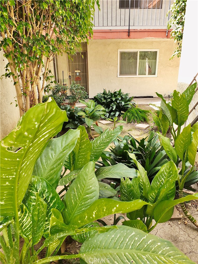 4591 Orange Avenue, Unit 306 Long Beach, CA 90807 - Photo 8 of 34 a yellow plant in front of a house