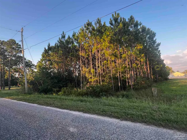 $95,000 | 0 Pearson Road, Milton, FL 32583
