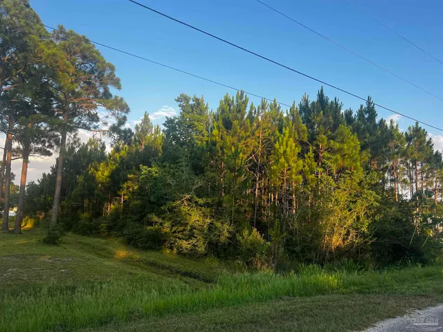 $95,000 | 0 Pearson Road, Milton, FL 32583