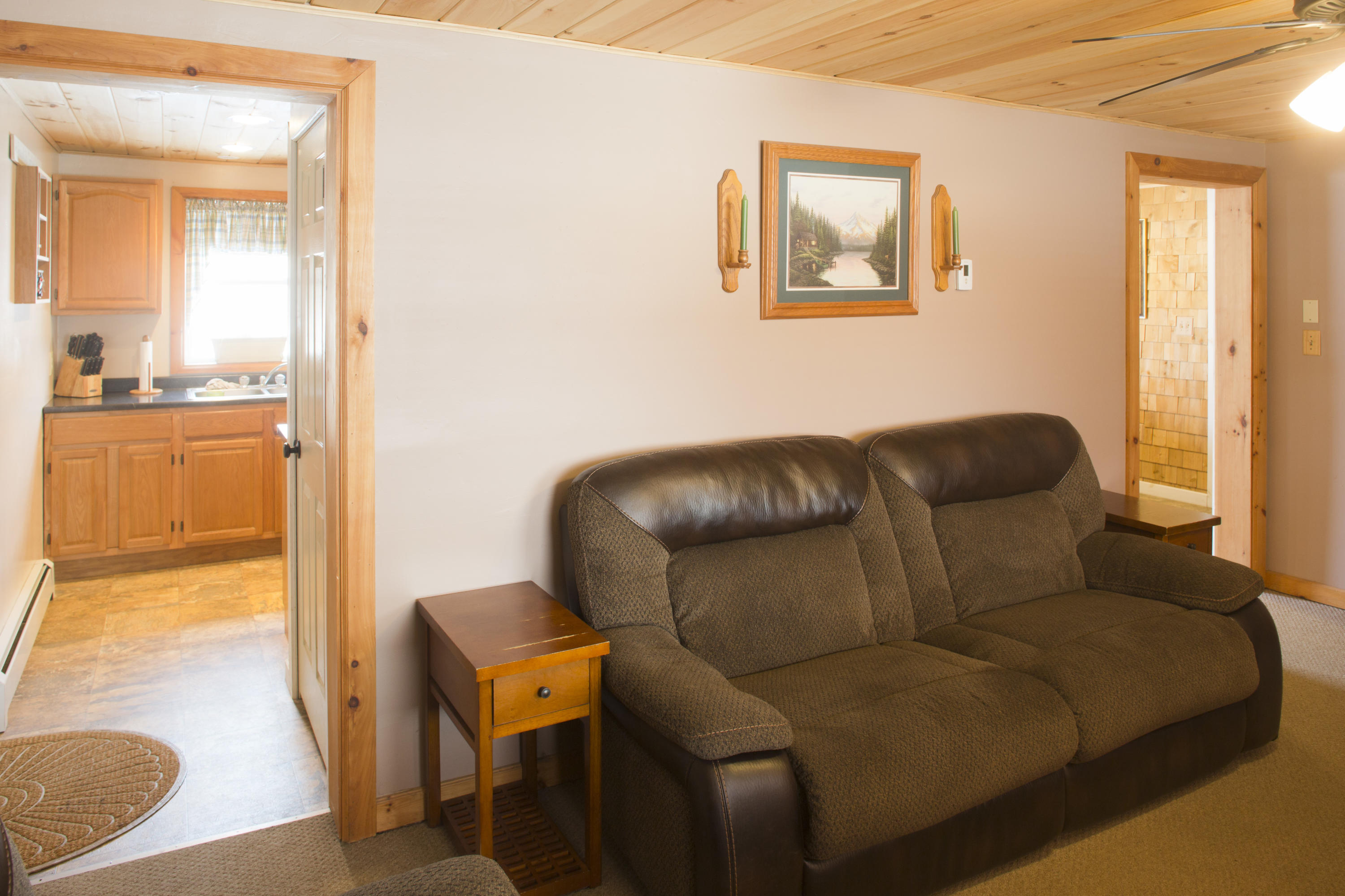 148 Reeves Road Bradford, ME 04410 - Photo 4 of 27 Young524A7245