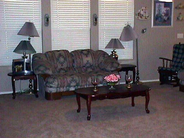 153 South Del Rancho Mesa, AZ 85120 - Photo 5 of 6 Additional Photo