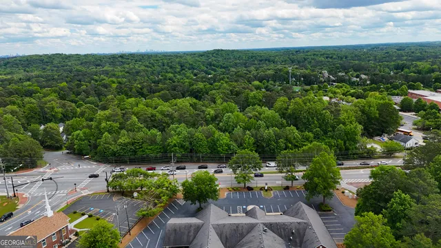 a view of a garden with a lot of trees