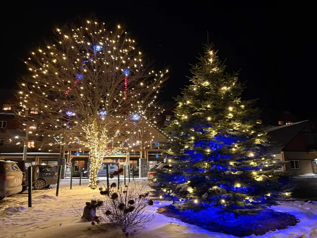 $26,500 | 339-qtr 4 89 Grand Summit Way, West Dover, VT 05356