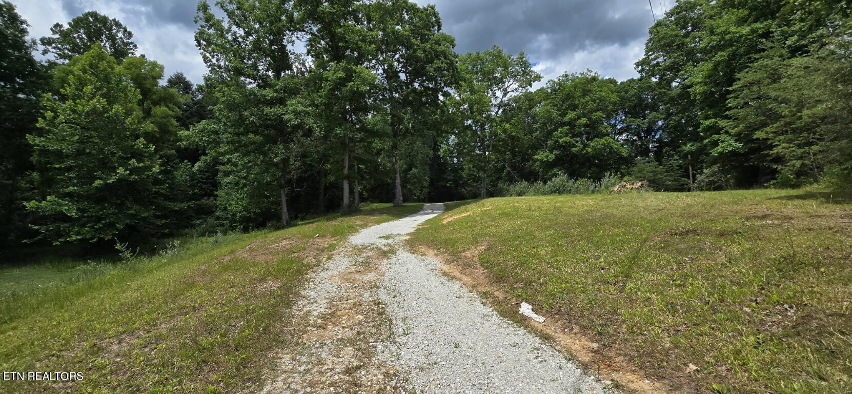 350 Rector Lane Helenwood, TN 37755 - Photo 21 of 21 20260616_145646