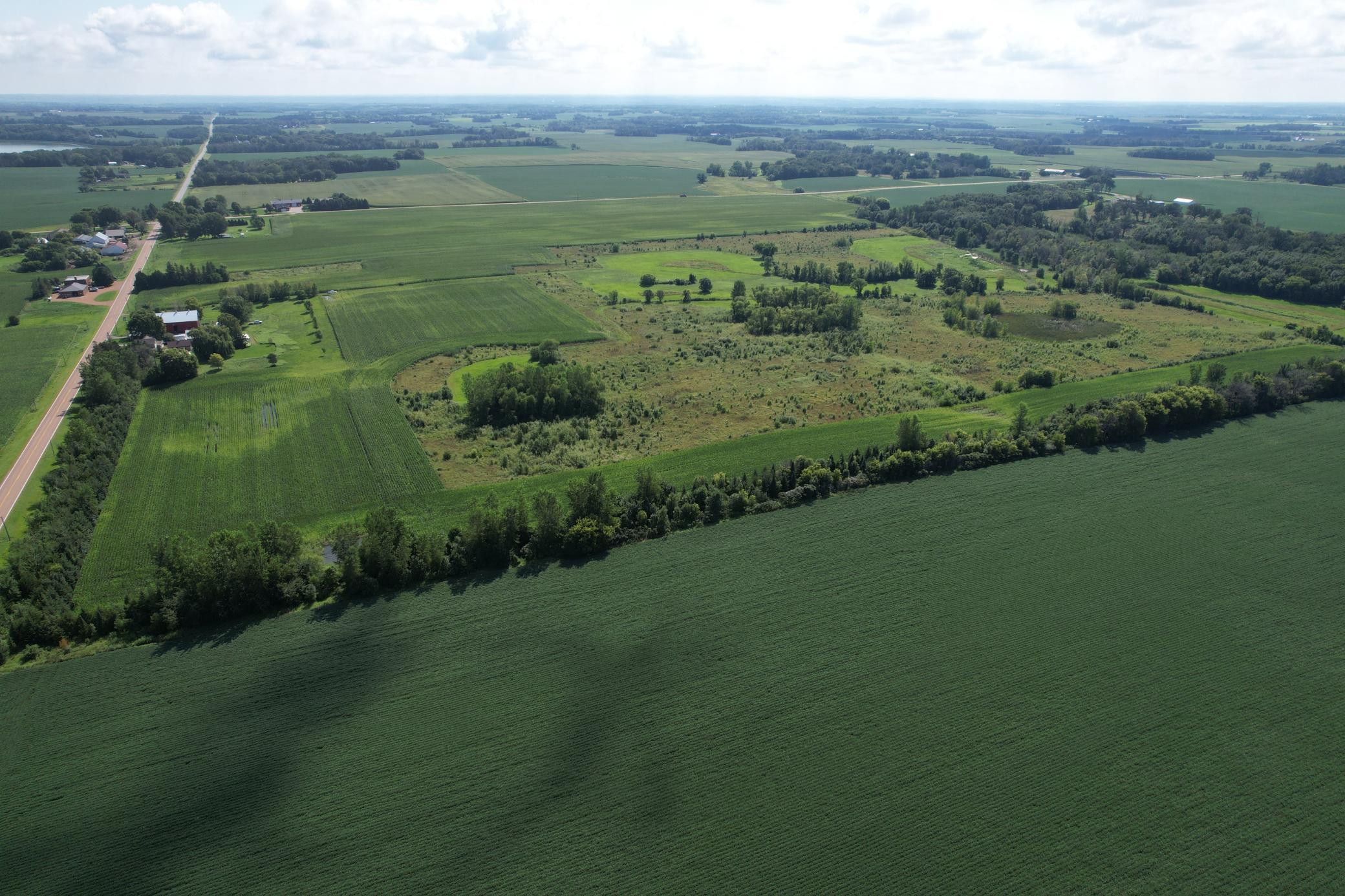 50 County Road 50 Cologne, MN 55322 - Photo 12 of 30