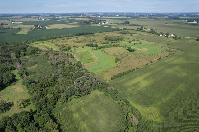 $1,050,000 | 50 County Road 50, Cologne, MN 55322