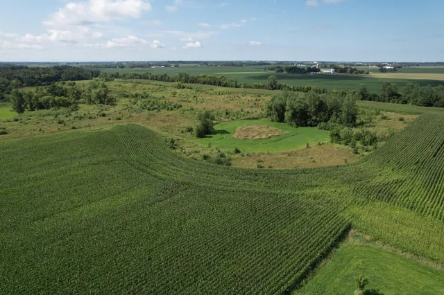 $1,050,000 | 50 County Road 50, Cologne, MN 55322