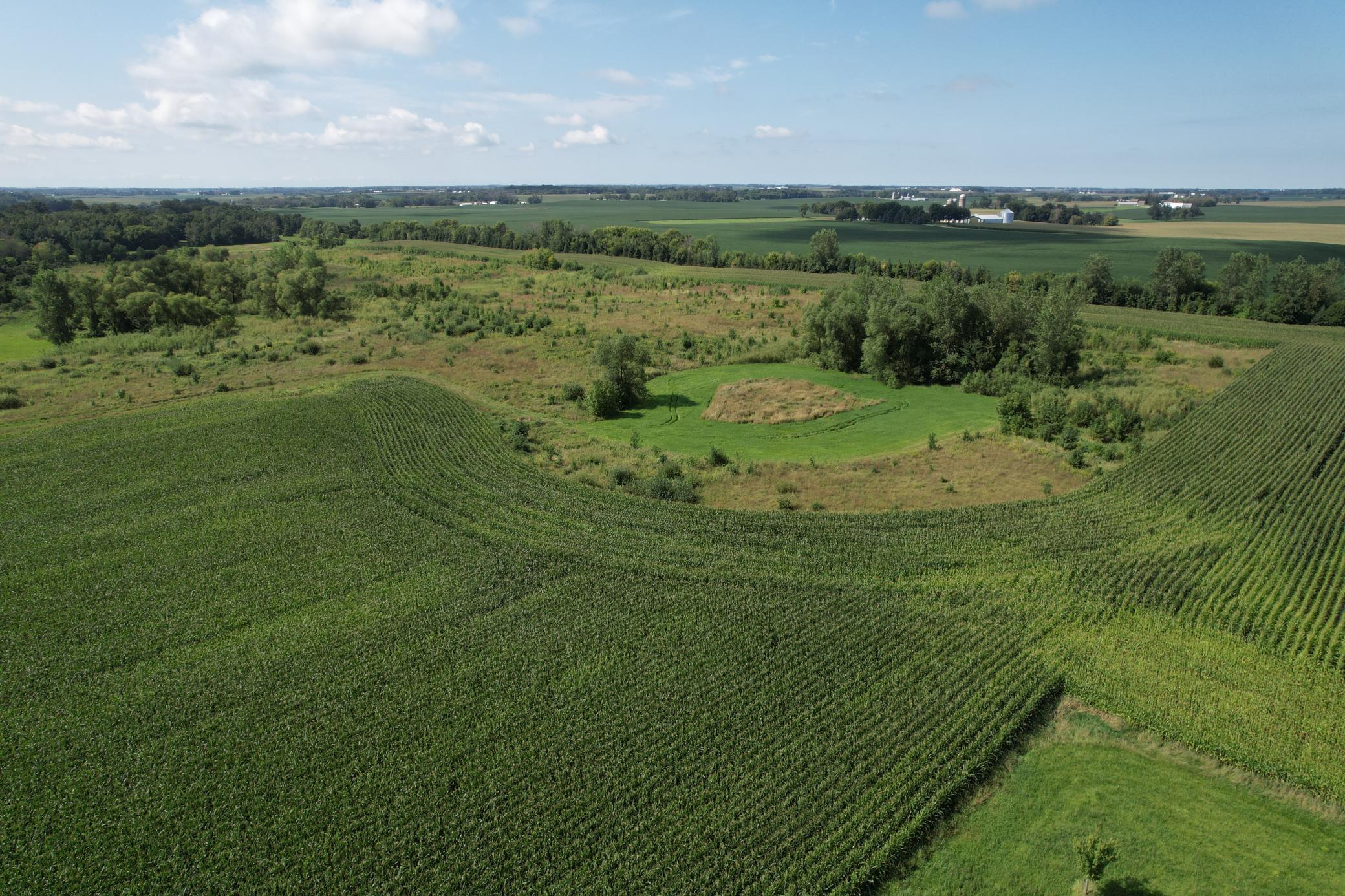 50 County Road 50 Cologne, MN 55322 - Photo 21 of 30