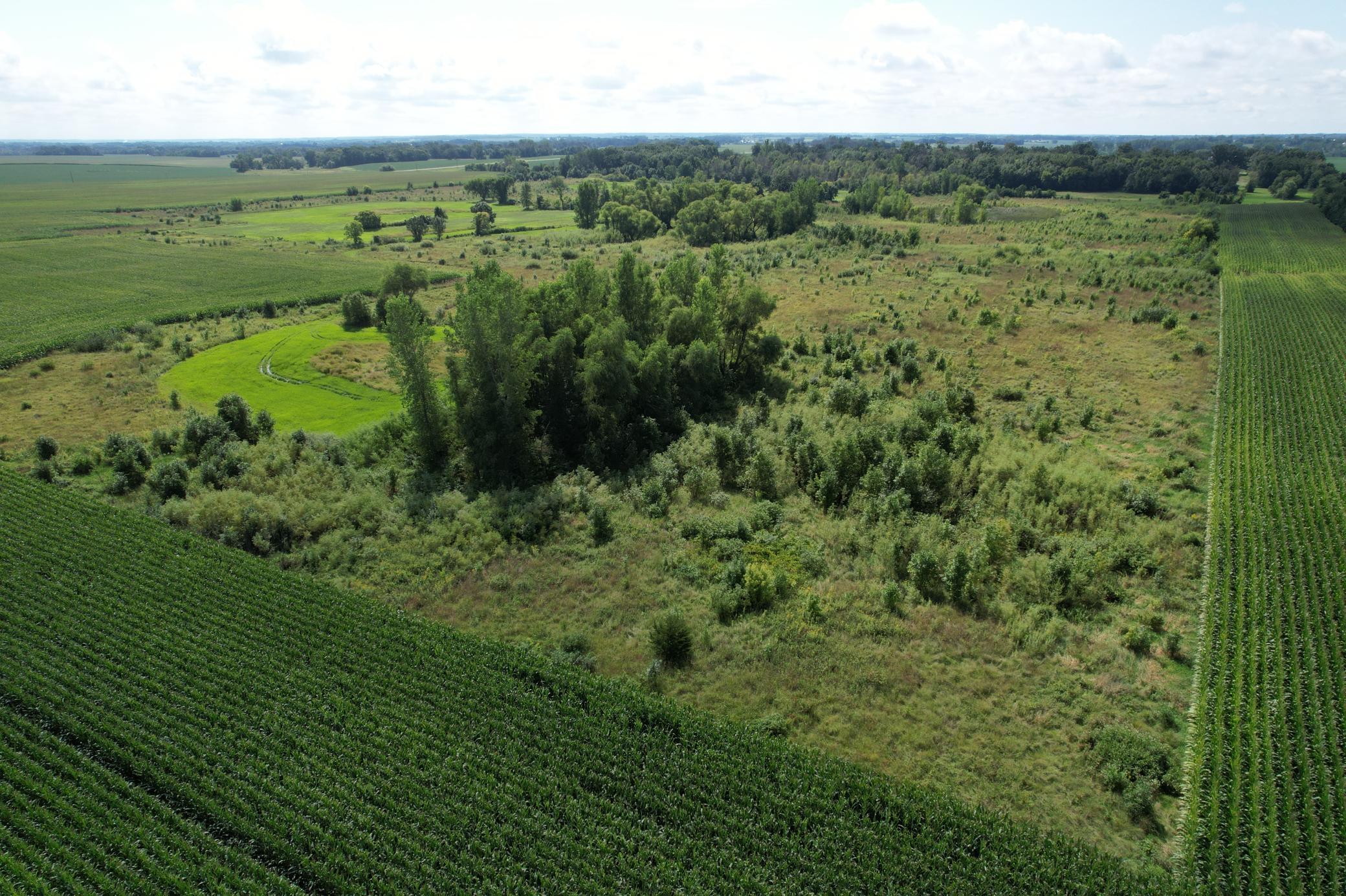 50 County Road 50 Cologne, MN 55322 - Photo 24 of 30