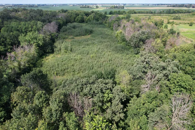 $1,050,000 | 50 County Road 50, Cologne, MN 55322