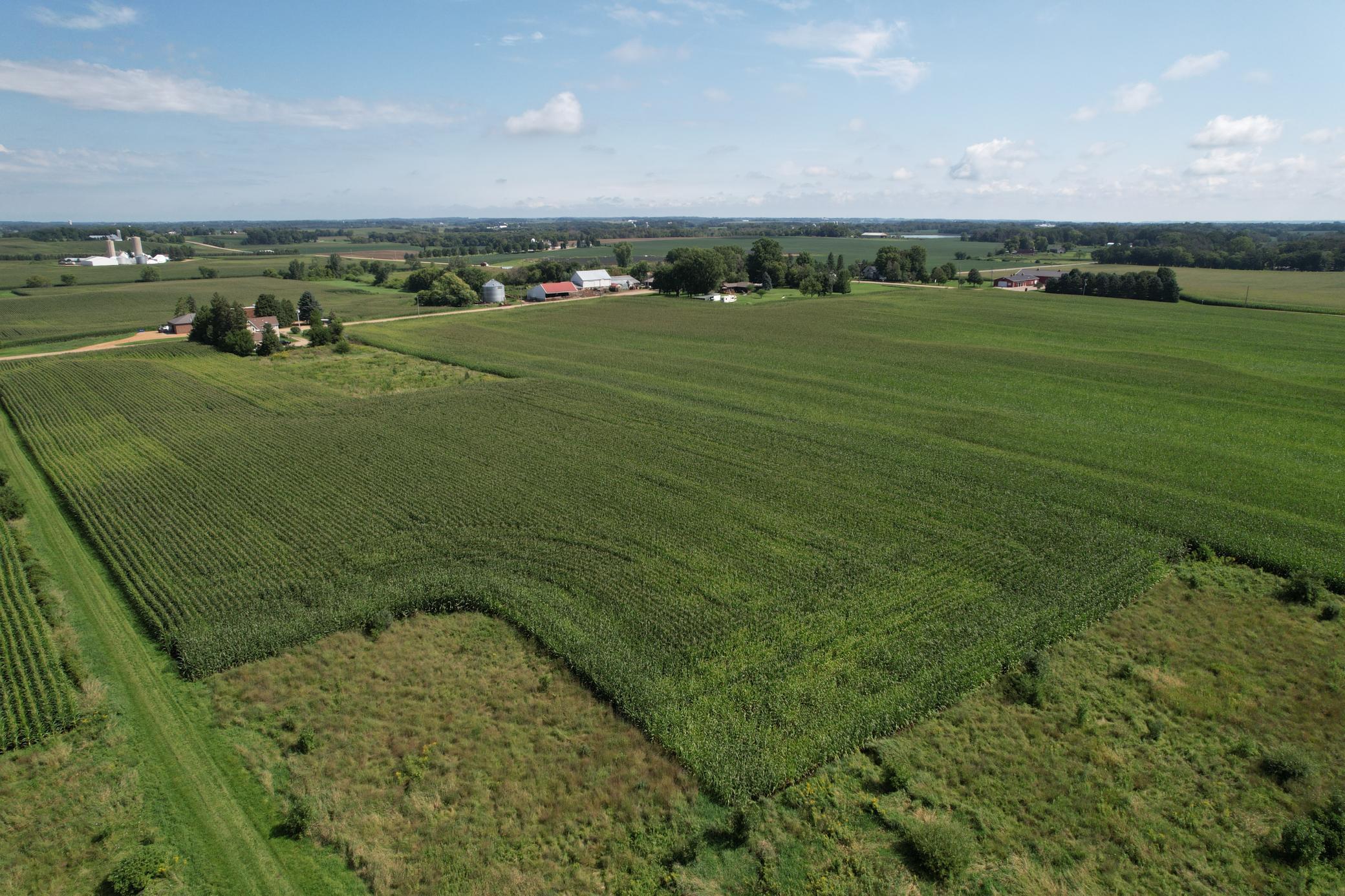50 County Road 50 Cologne, MN 55322 - Photo 28 of 30