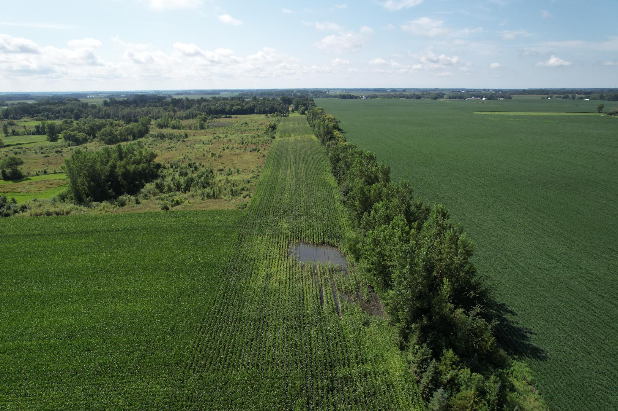 50 County Road 50 Cologne, MN 55322 - Photo 29 of 30