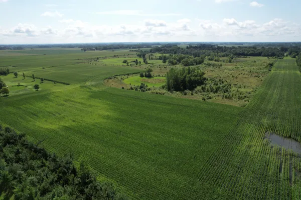 $1,050,000 | 50 County Road 50, Cologne, MN 55322