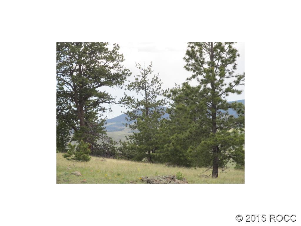 Unknown Keechi Road Hartsel, CO 80449 - Photo 2 of 5 Gallery Image 2