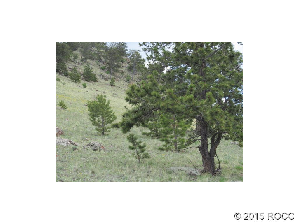 Unknown Keechi Road Hartsel, CO 80449 - Photo 4 of 5 Gallery Image 4