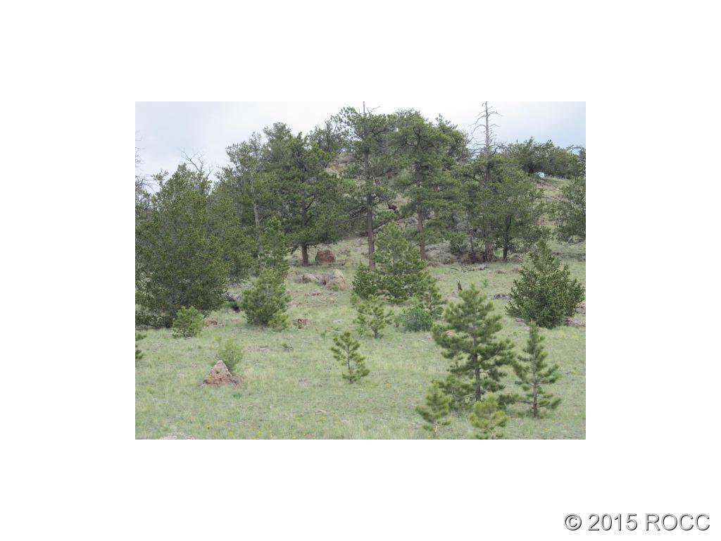 Unknown Keechi Road Hartsel, CO 80449 - Photo 5 of 5 Gallery Image 5