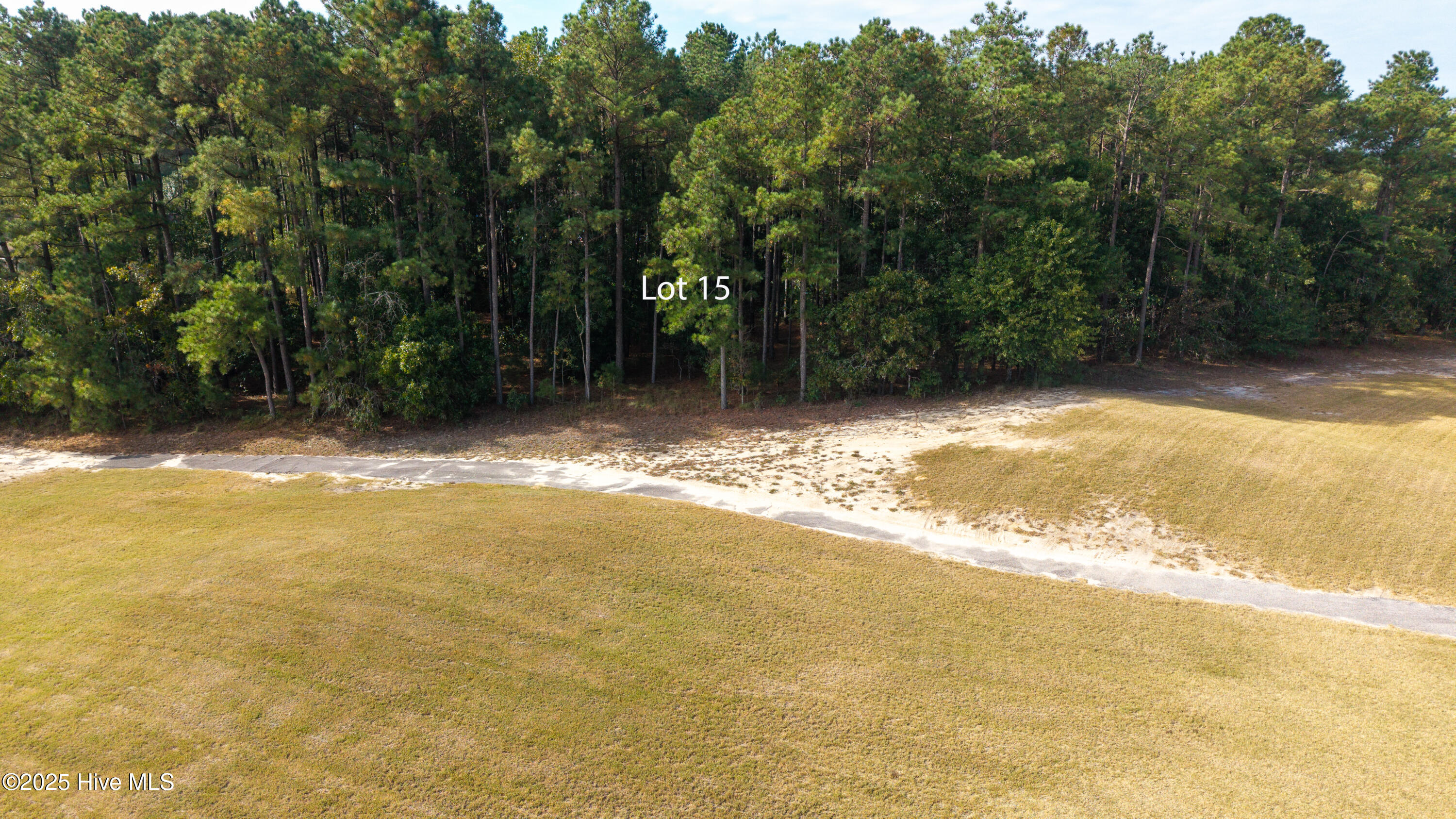 15 Old Tom Morris Road Garland, NC 28441 - Photo 4 of 4 Lot 15.4