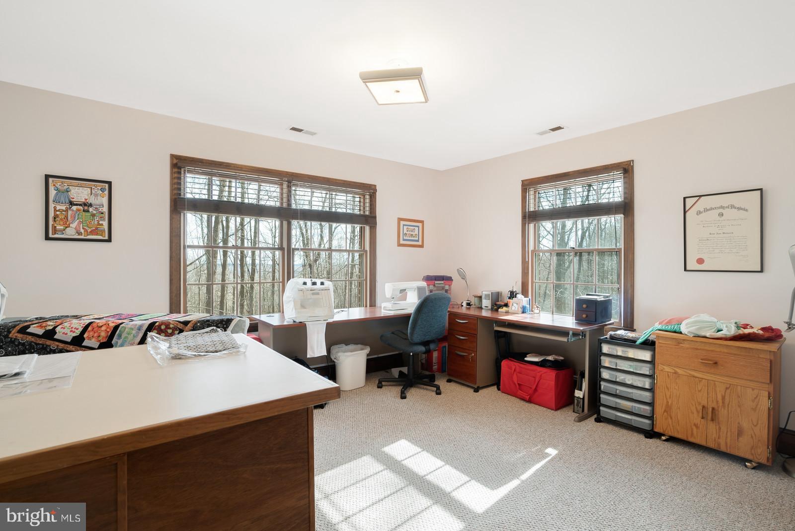 7551 Moormont Road Rapidan, VA 22733 - Photo 20 of 42 Gallery Image 20