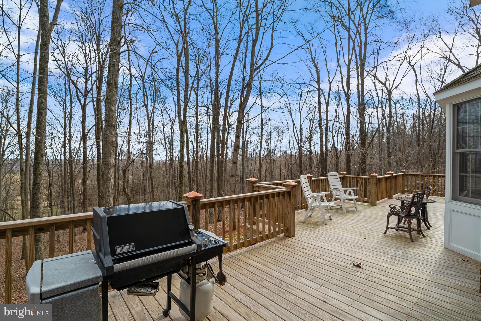 7551 Moormont Road Rapidan, VA 22733 - Photo 33 of 42 Gallery Image 33