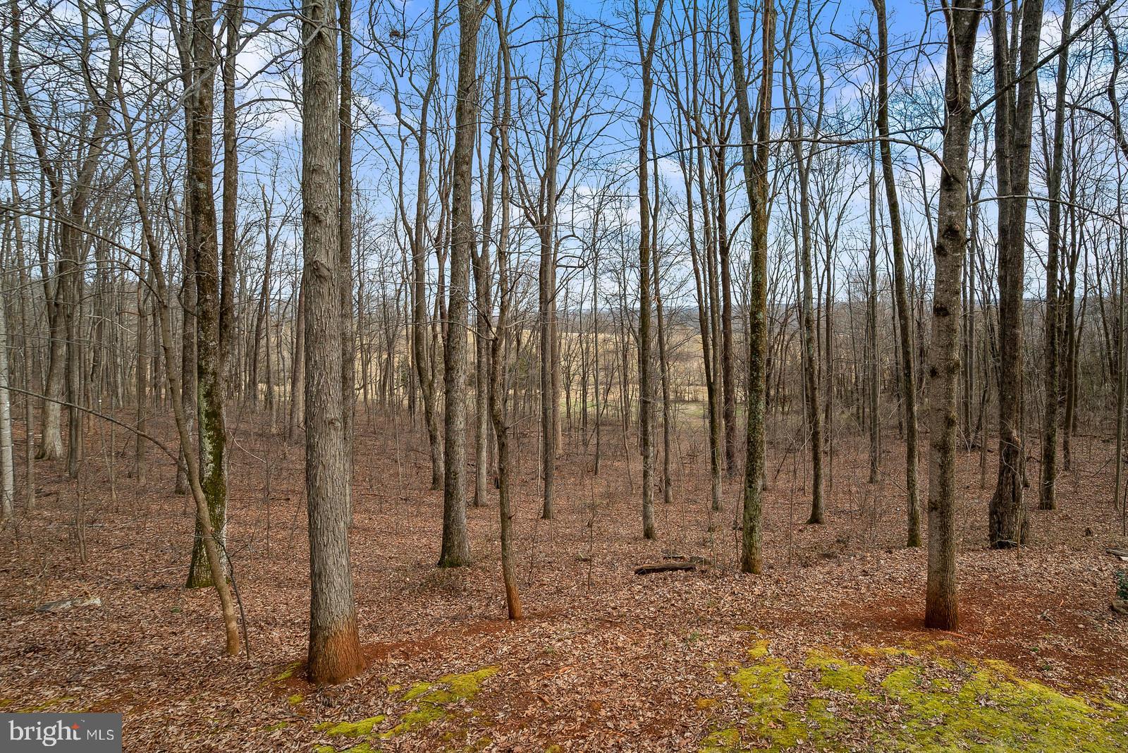 7551 Moormont Road Rapidan, VA 22733 - Photo 34 of 42 Gallery Image 34