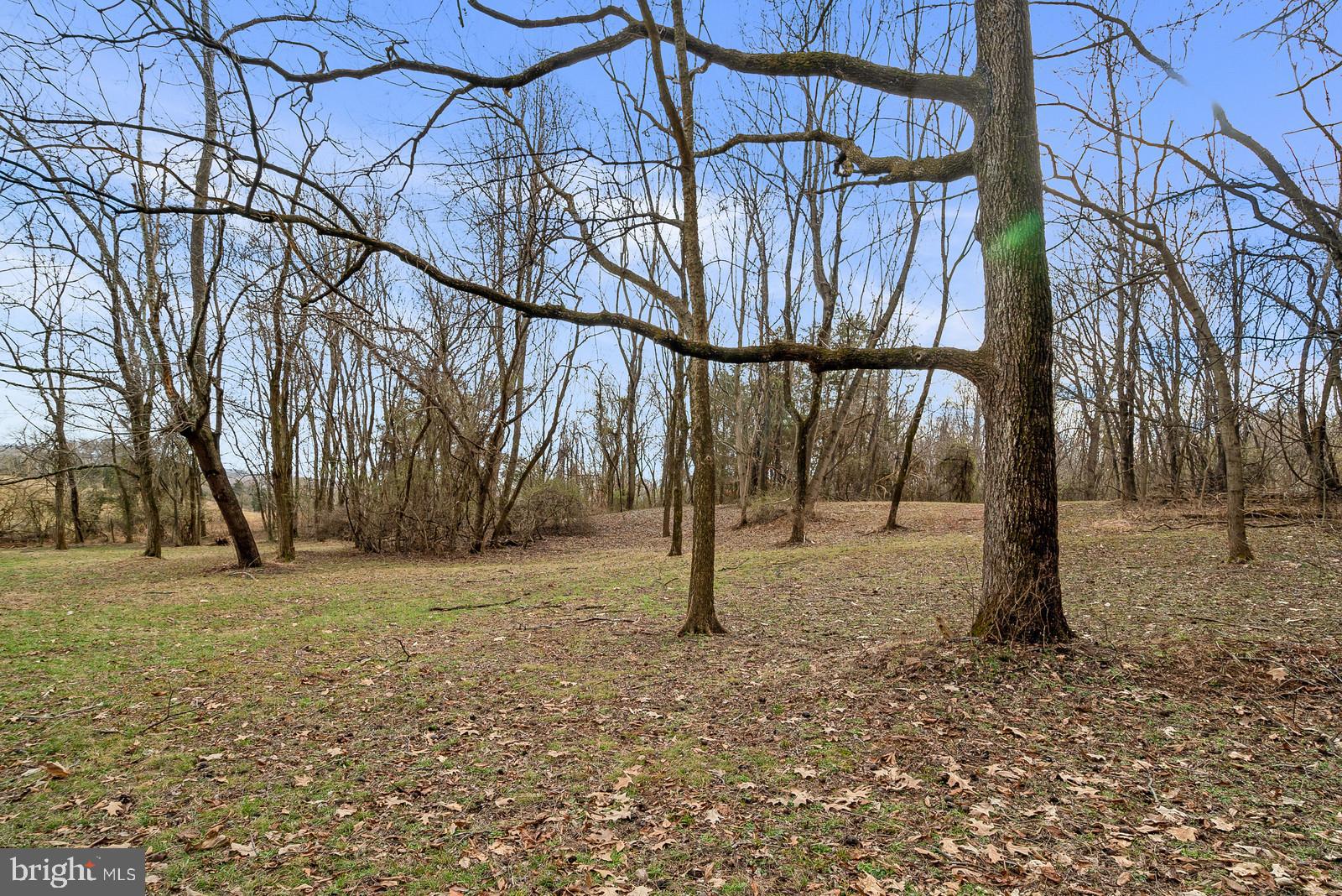 7551 Moormont Road Rapidan, VA 22733 - Photo 35 of 42 Gallery Image 35