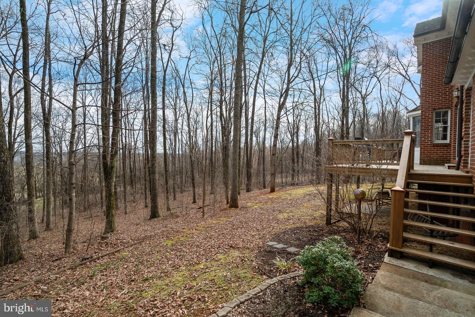 7551 Moormont Road Rapidan, VA 22733 - Photo 41 of 42 Gallery Image 41