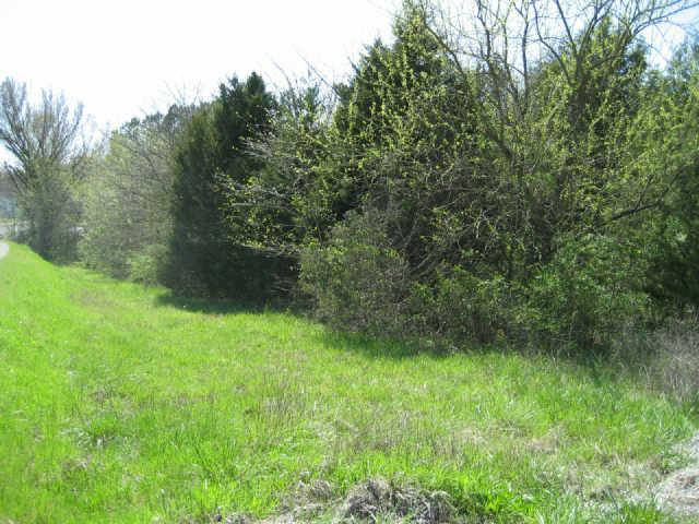 0 Almaville Road Arrington, TN 37014 - Photo 1 of 4 Gallery Image 1
