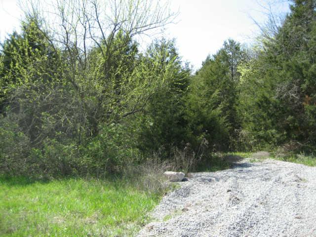 0 Almaville Road Arrington, TN 37014 - Photo 2 of 4 Gallery Image 2