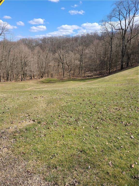 810 Lagonda Road Washington, PA 15301 - Photo 8 of 25 Gallery Image 8