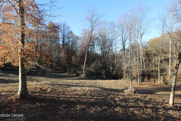 a view of a yard with trees