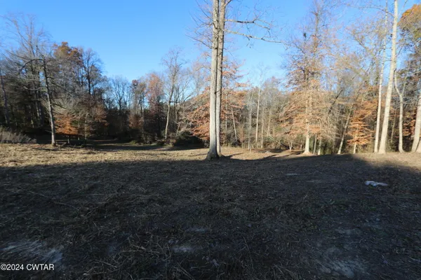 a view of outdoor space with green space