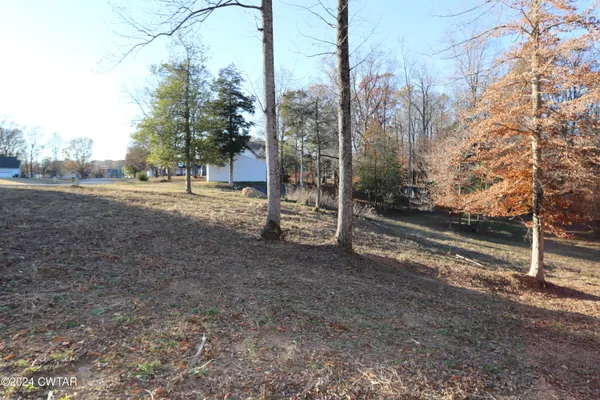 a view of a yard with tree s