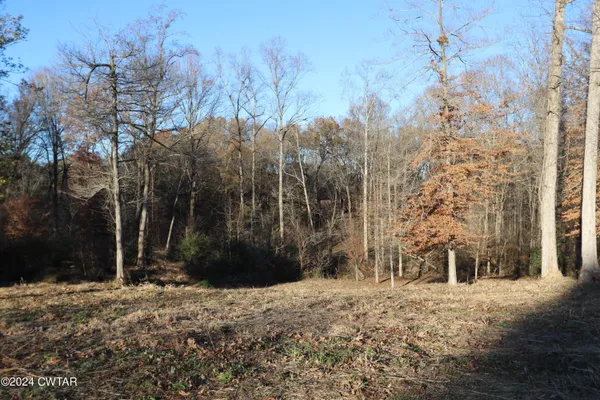 a view of a backyard of the house