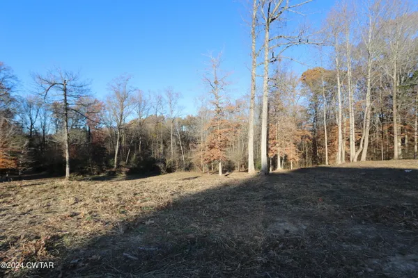 a view of a snow in the middle of a yard