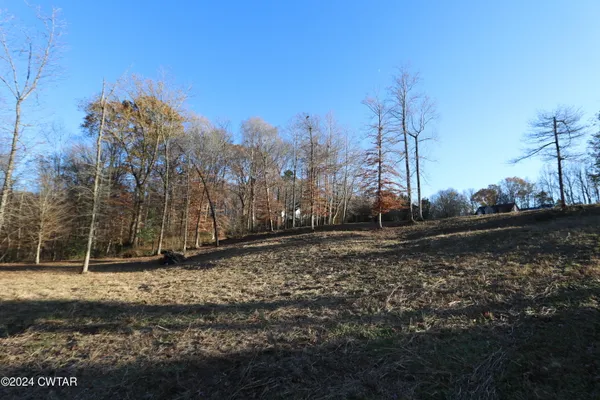 a view of a backyard of the house
