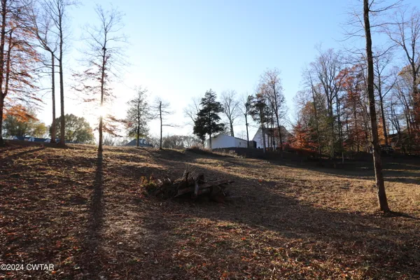 a view of yard with tree