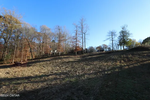 a view of a backyard of the house